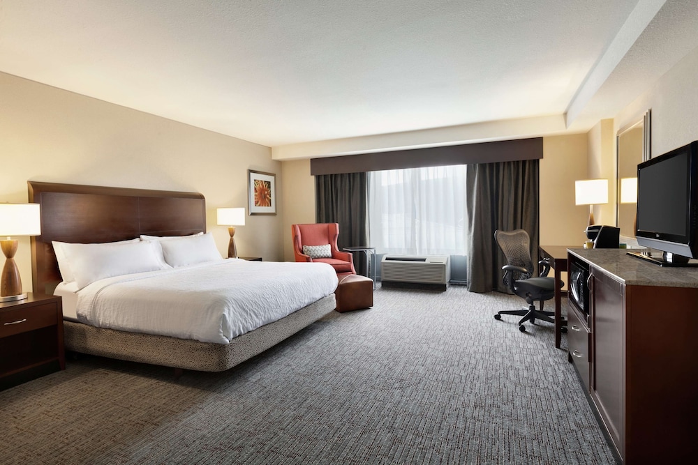 Hilton Garden Inn Atlanta Downtown 11/35