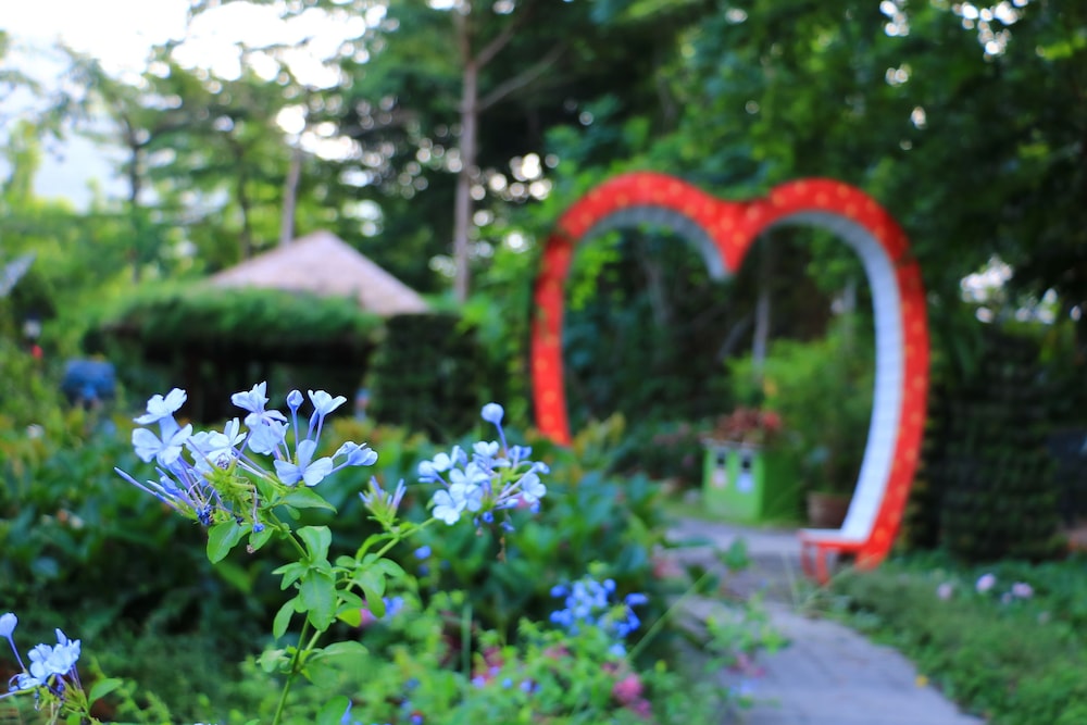 Tai-Yi Red Maple Resort(Tai-Yi Ecological Leisure Farm) 38/64