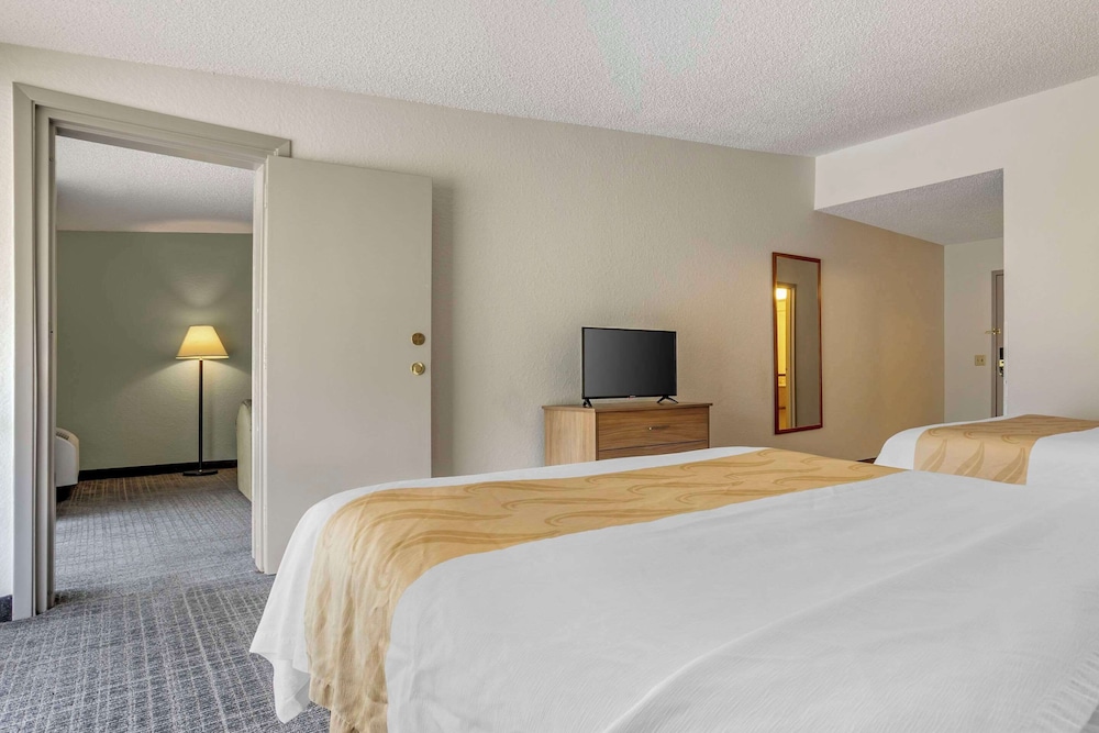 Quality Inn & Suites NRG Park - Medical Center 28/61