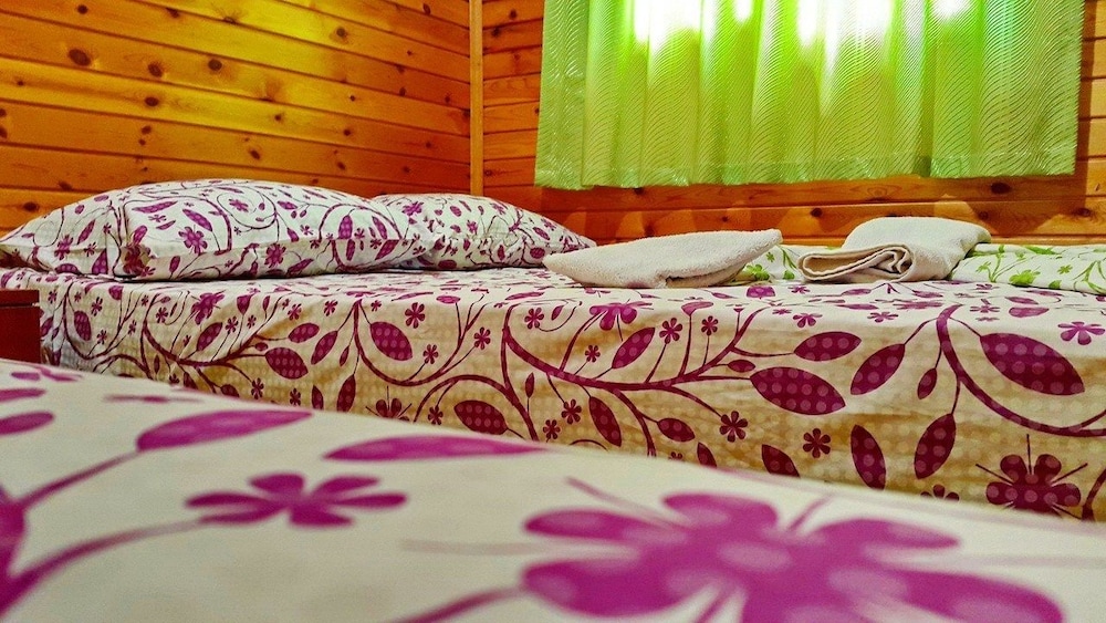 Olympos Tatilya Pansiyon 10/41