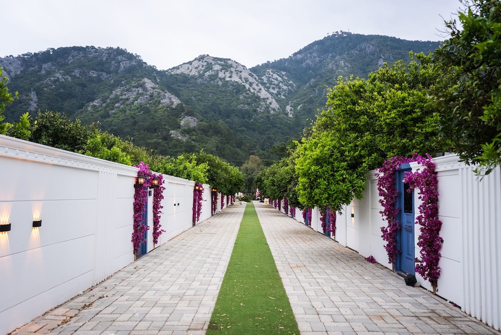 Collesium Garden 25/31