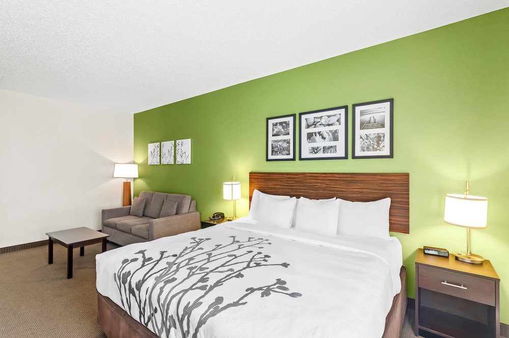 Suite, King Bed, Sofa