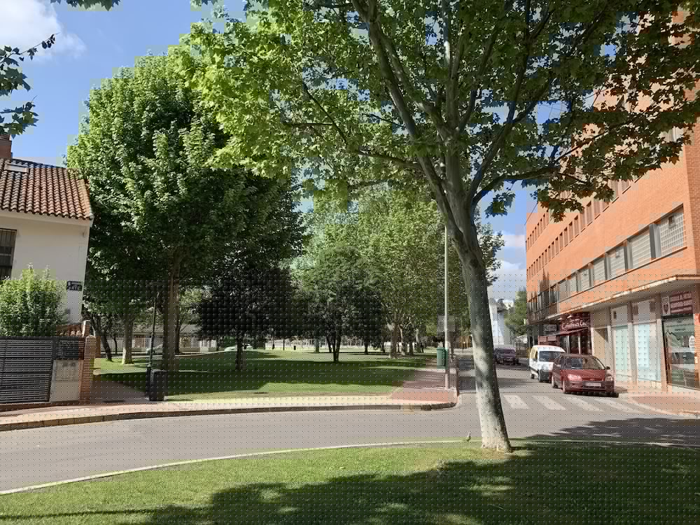 Universidad 7/42