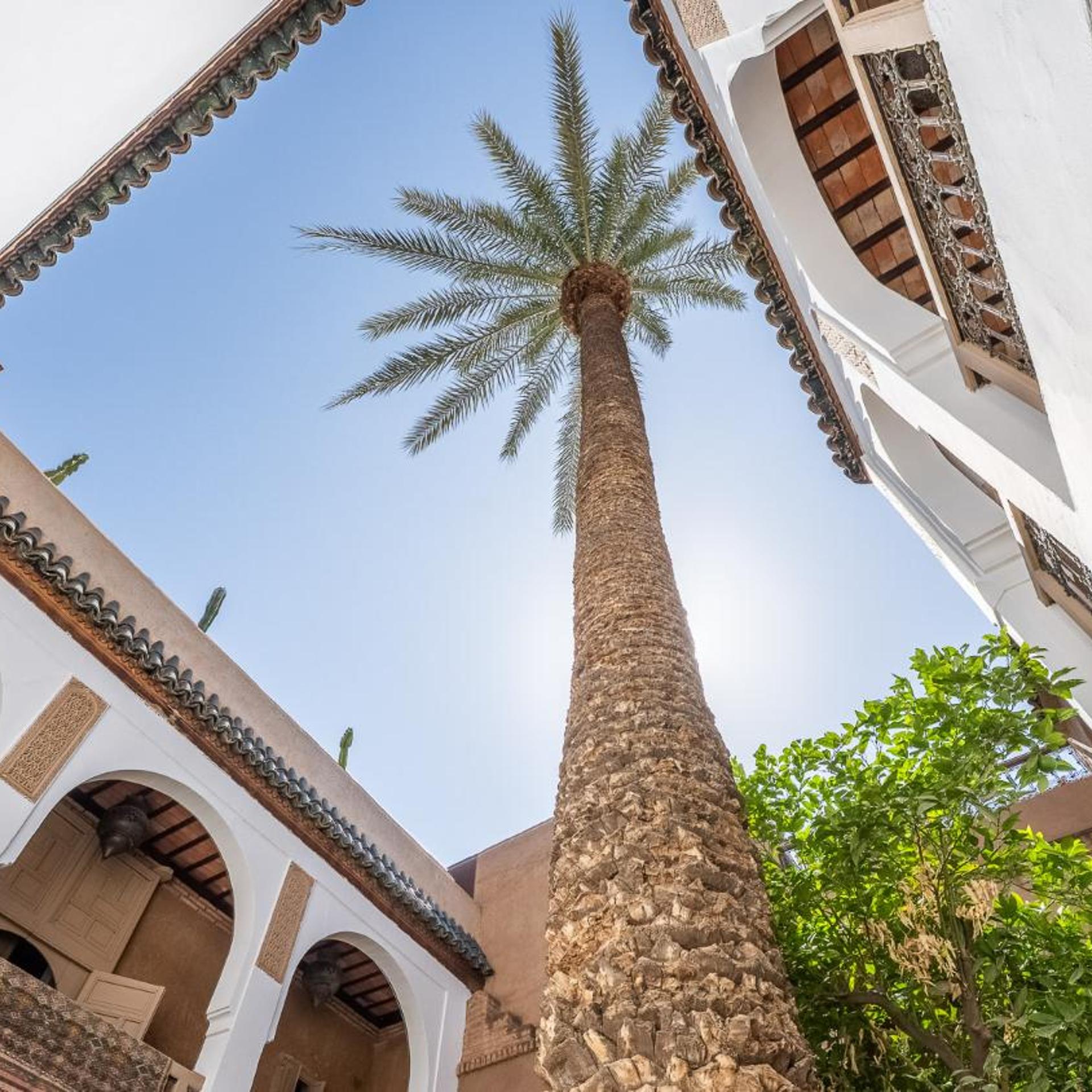 Riad Palmier 7/57