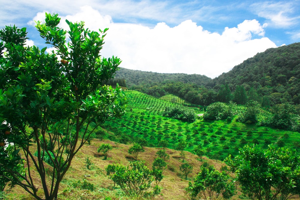 Taman Simalem Resort 30/48