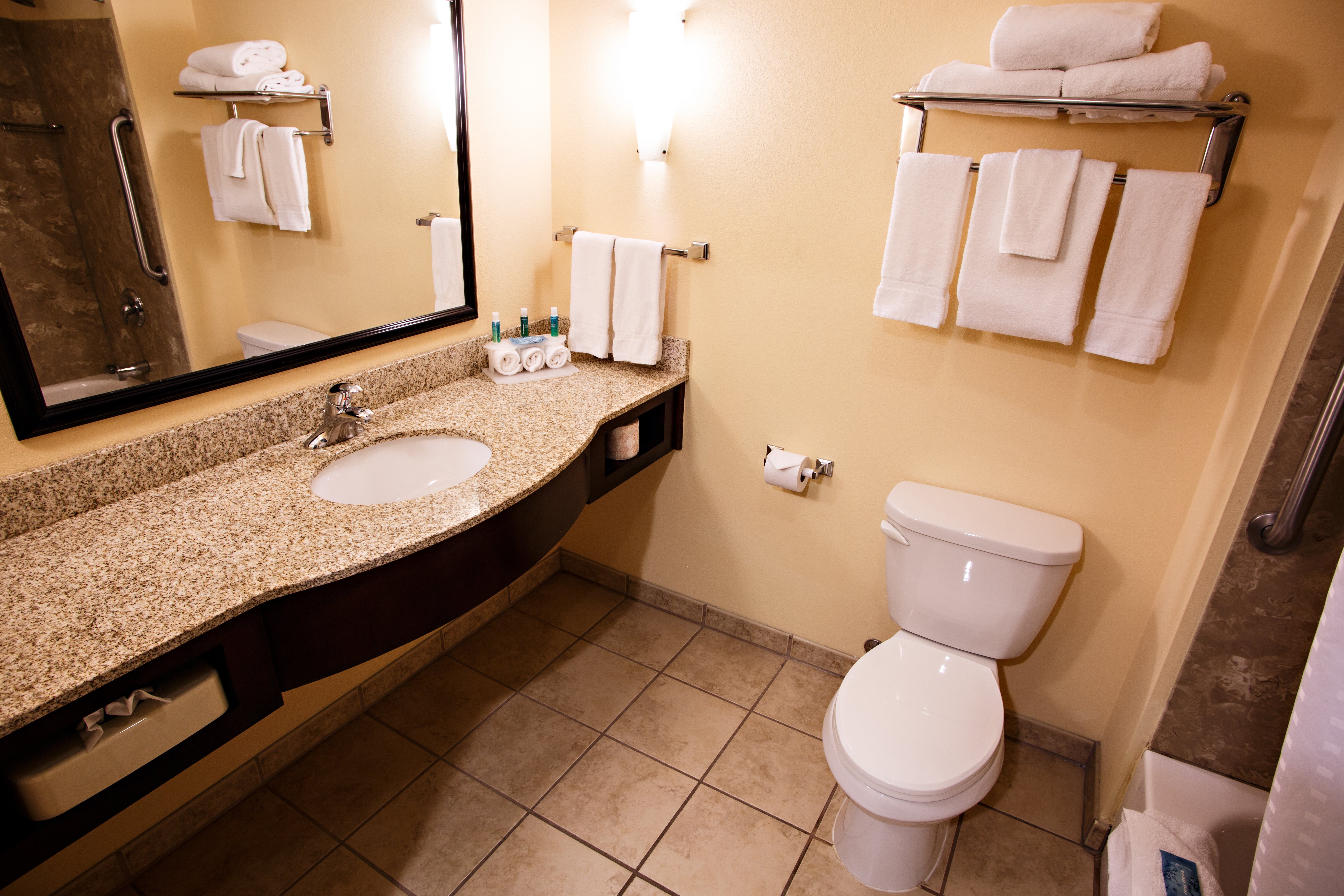 Holiday Inn Express & Suites Harrisburg W - Mechanicsburg 65/65