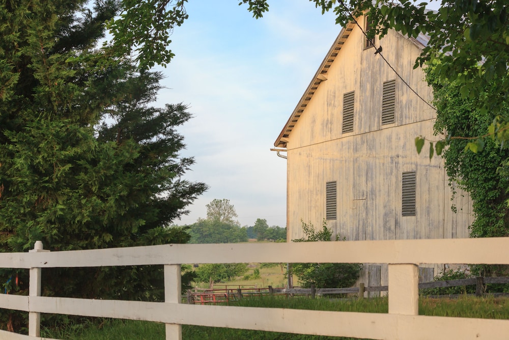 L Auberge Provencale Bed and Breakfast 2/51