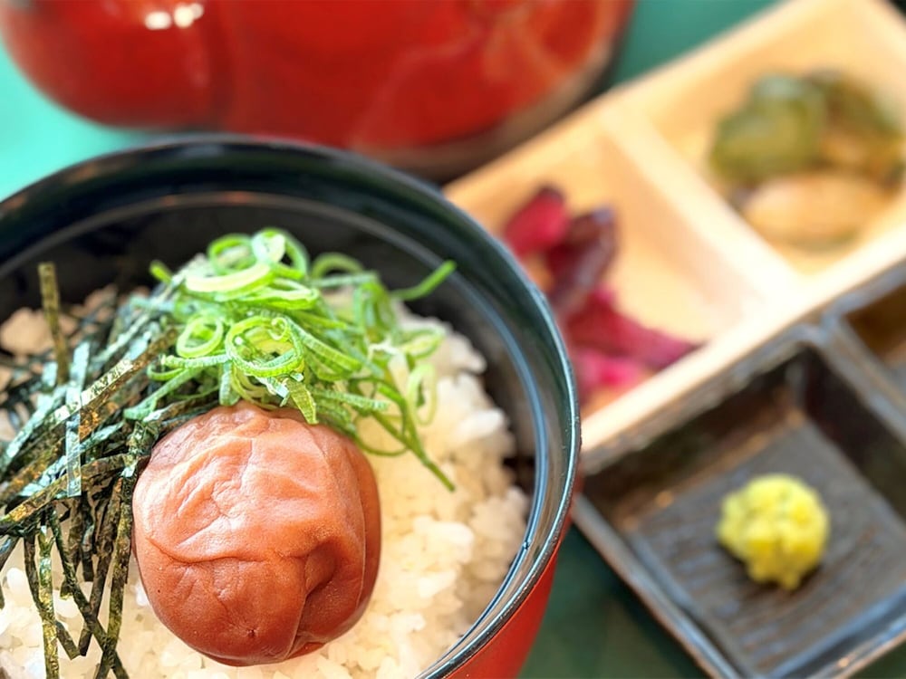 Kanku Izumiotsu Washington Hotel 32/59