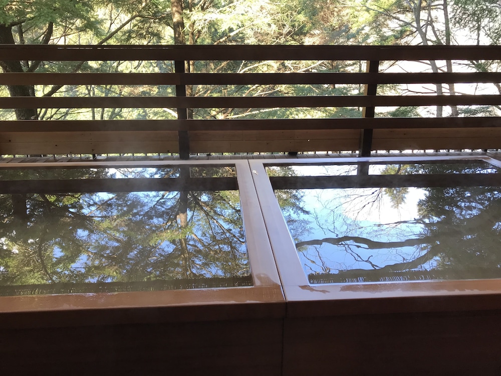 Hotel Manyoutei 19/42