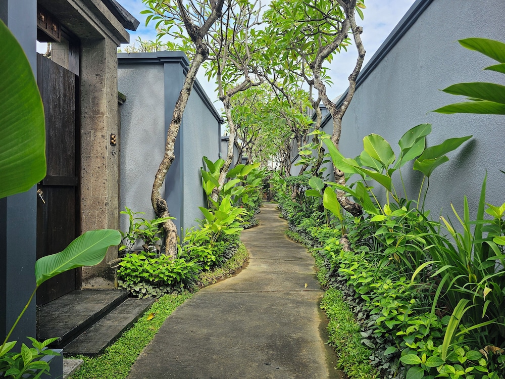 Seminyak Icon 66/70