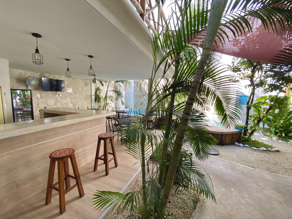 Pacha Tulum Boutique Hotel 67/84