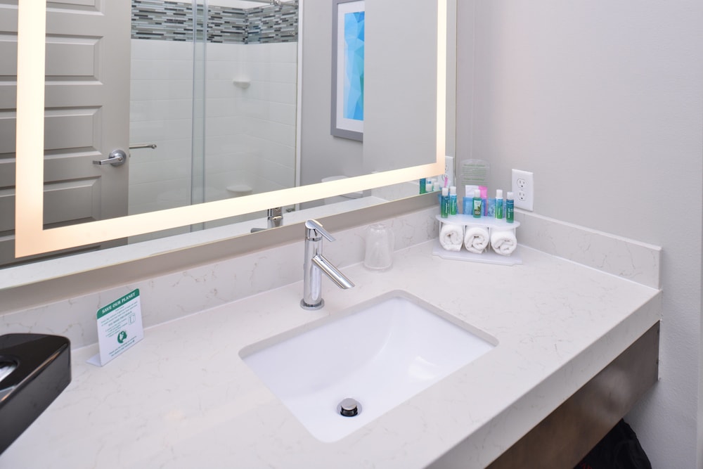 Holiday Inn Express Suites Houston E Pasadena 19/62