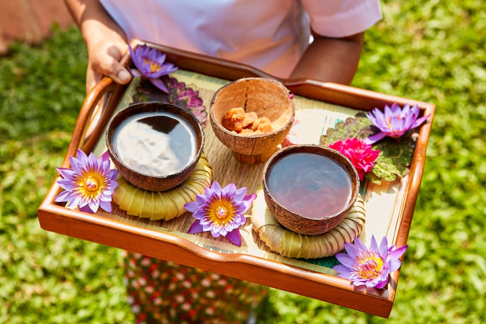 Amuna Ayurvedic Retreat 21/50