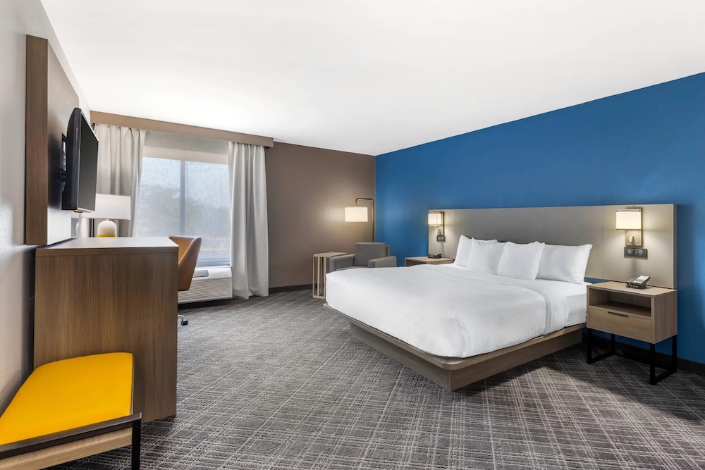 Room, King Bed, Large
