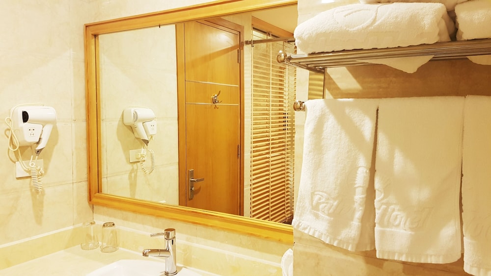 Palm Hotel Thanh Hoa 66/68