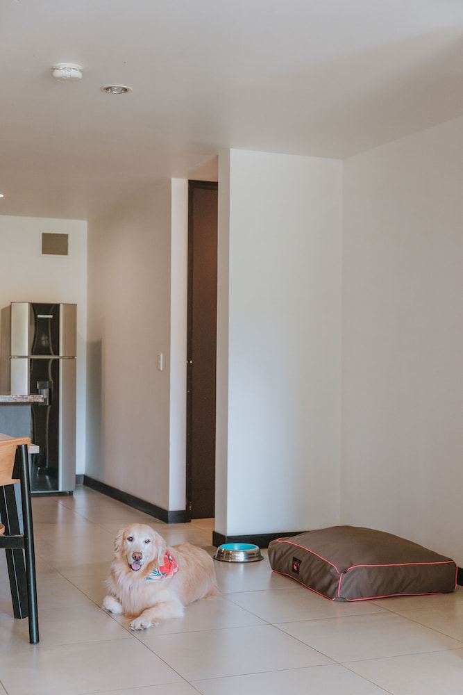 Travelers Rio Verde Living Suites 16/50
