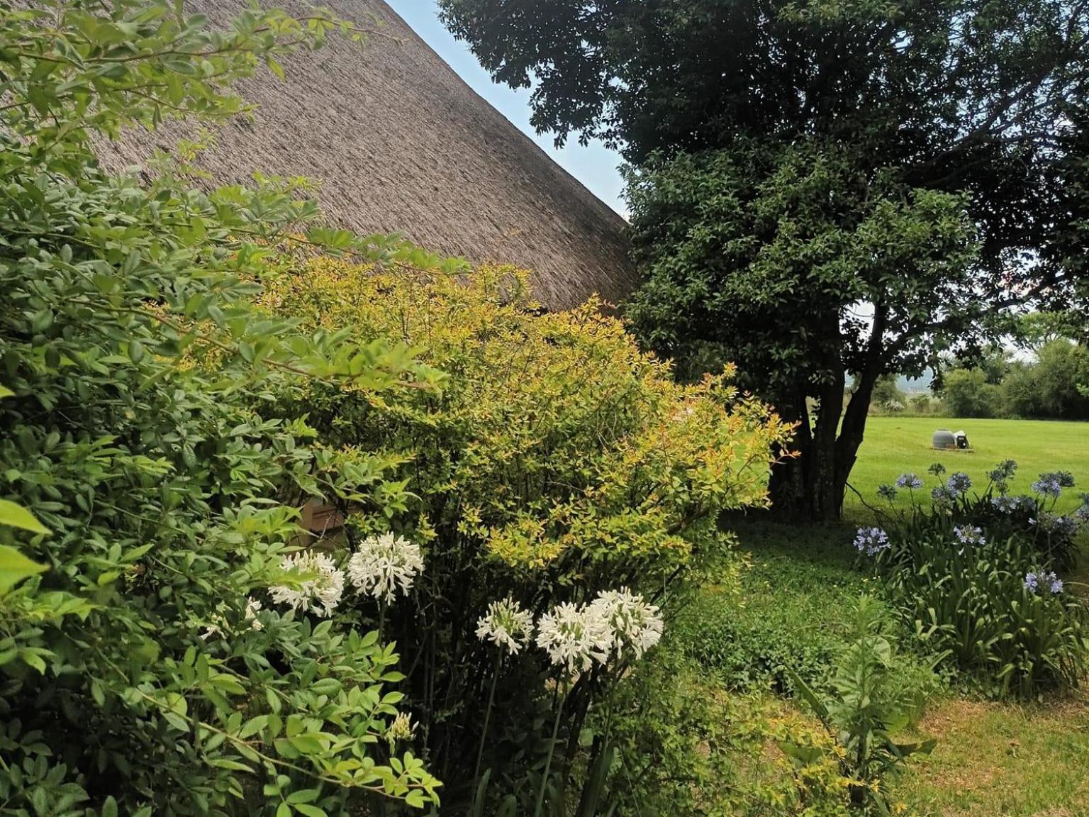 Linglela Lodge 29/37