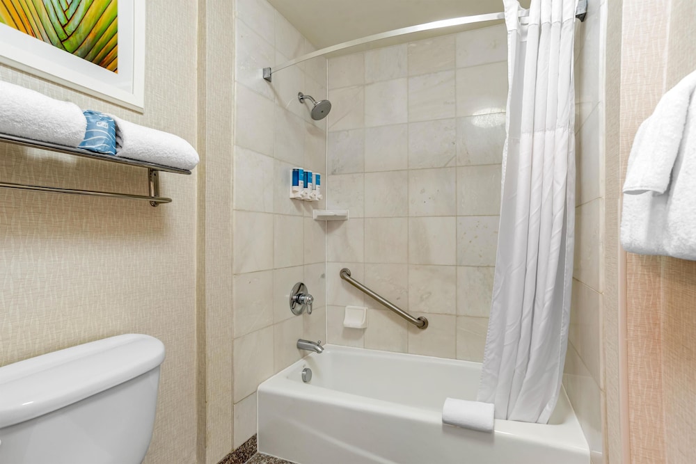 DRURY INN AND SUITES BATON ROUGE 48/50