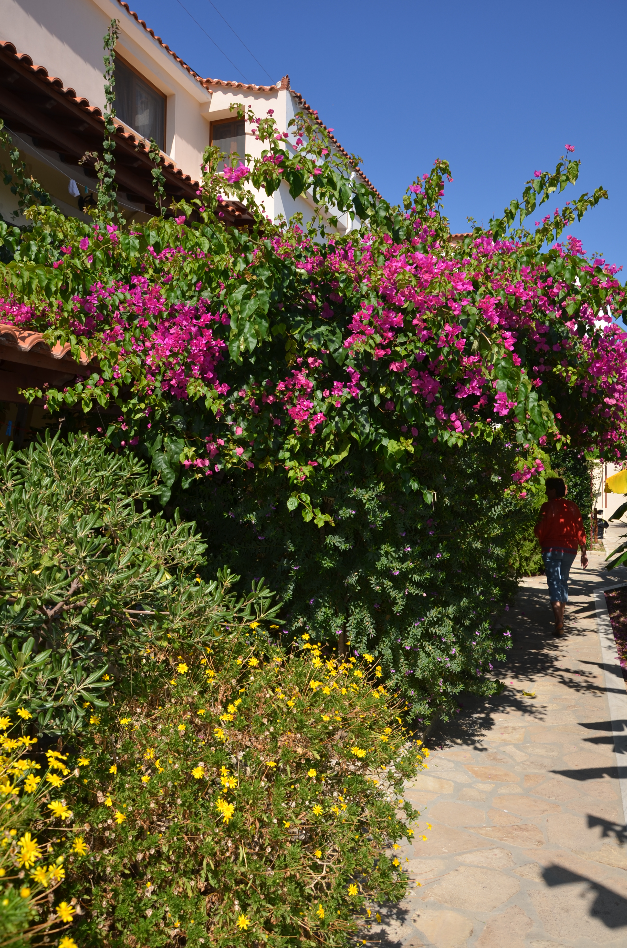 Athena Beach 32/39