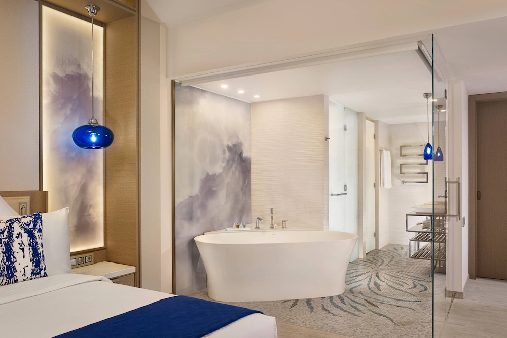 Paragraph Resort Spa Shekvetili Autograph Collection 28/78