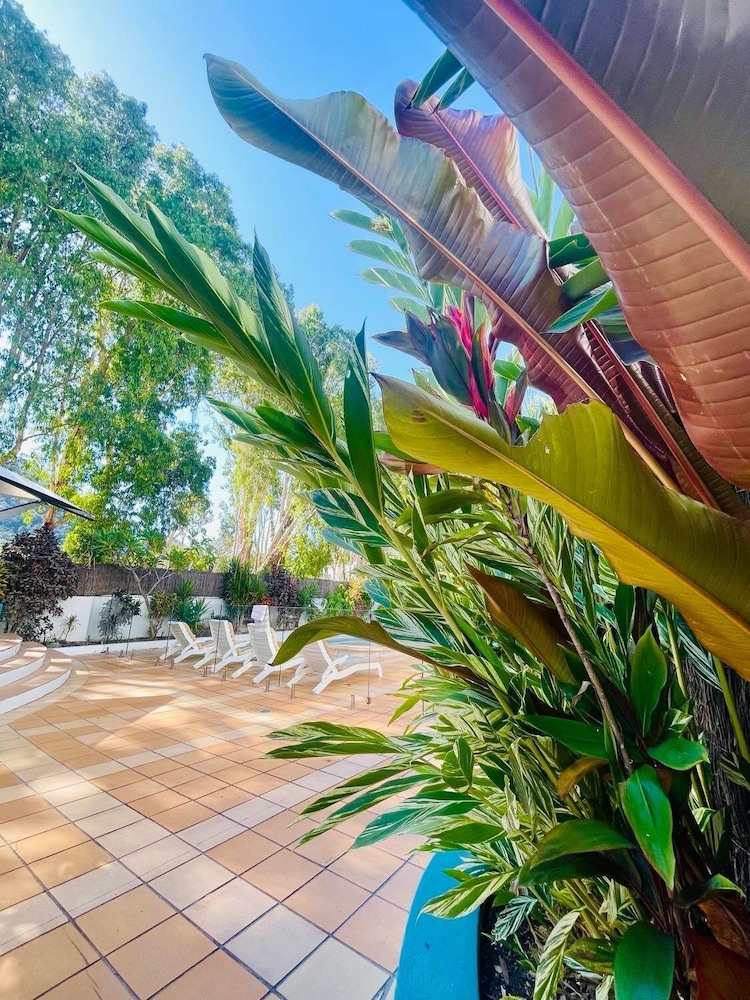 Beachview Apartments at Villa Paradiso 44/50