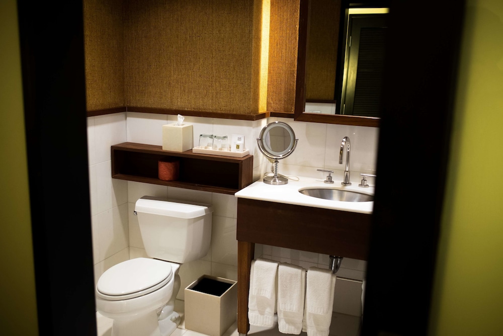 Hotel Valencia Santana Row 18/46