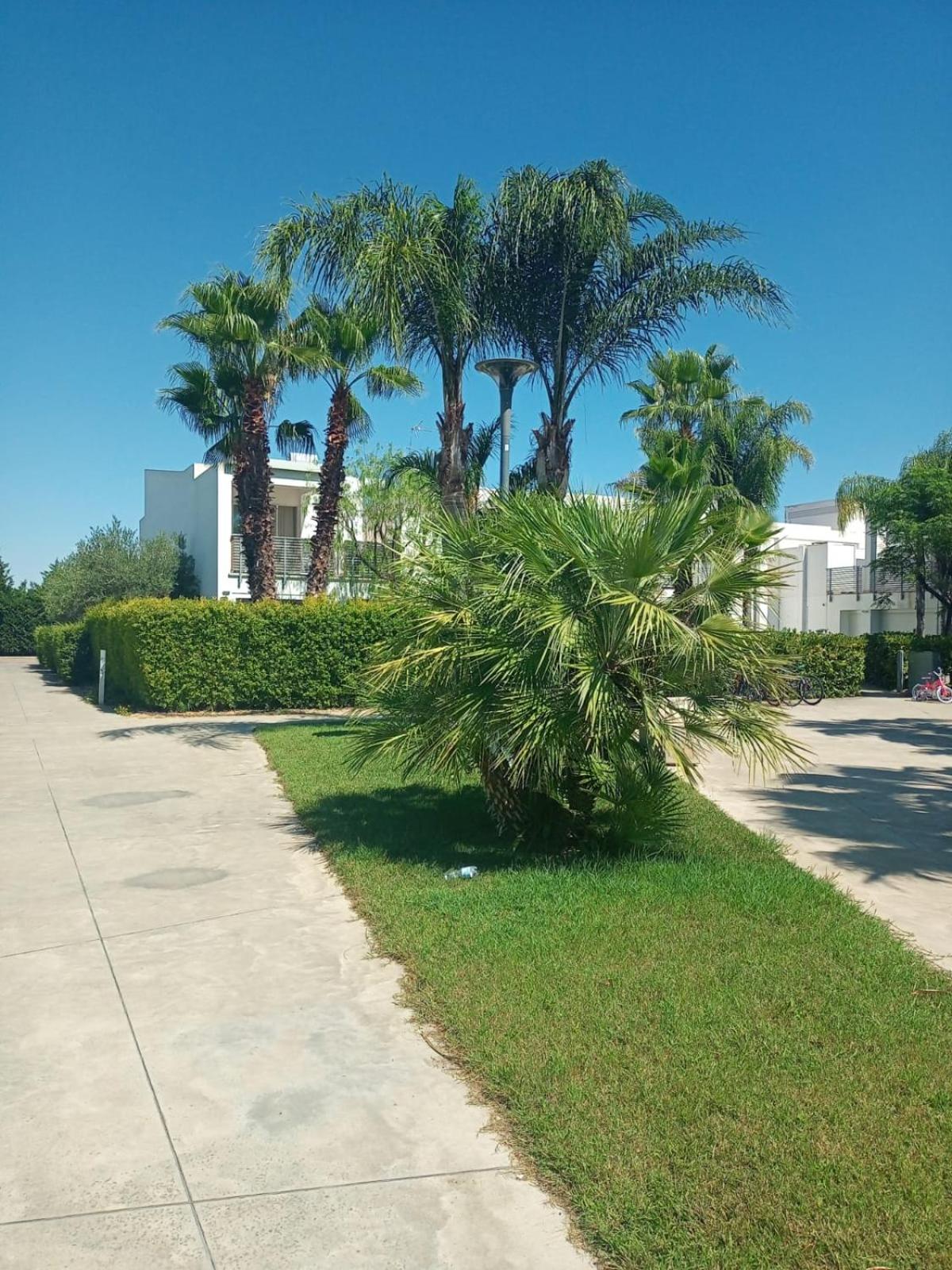 I Giardini Di Zeus 34/44