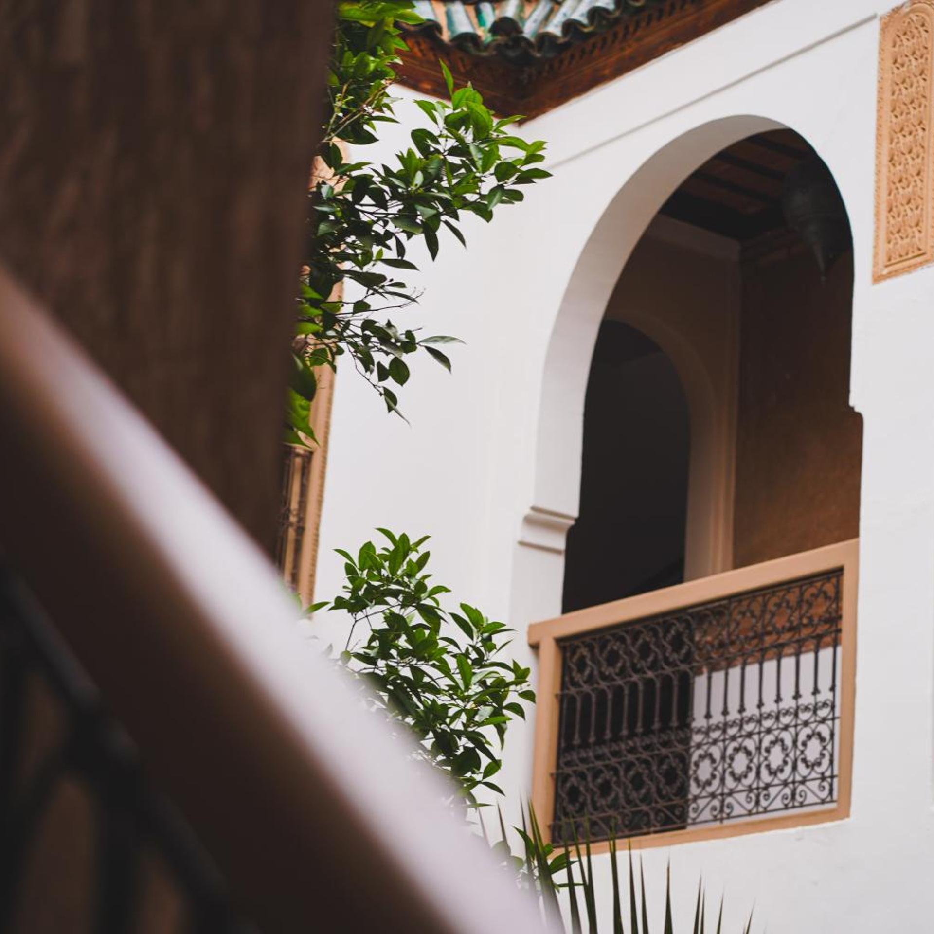 Riad Palmier 13/57