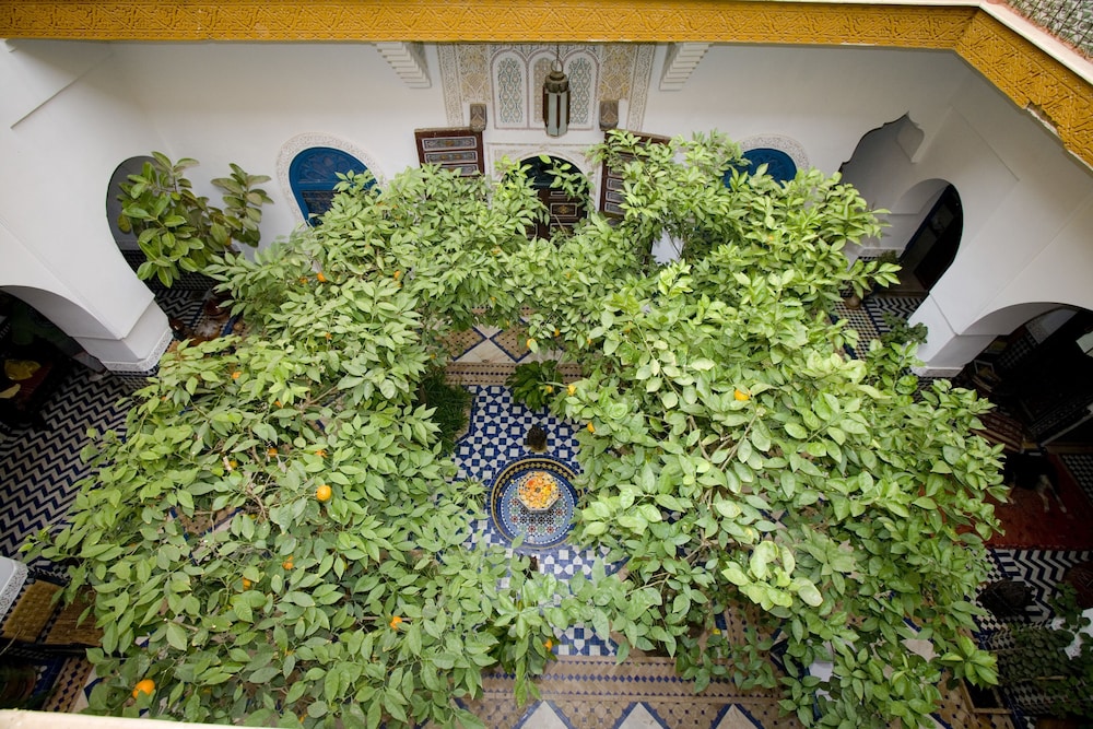 Riad El Borj 39/50