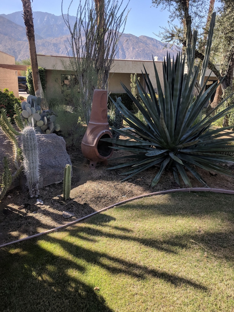 Desert Isle Of Palm Springs 38/50