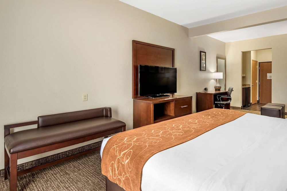 Suite, King Bed, Sofa