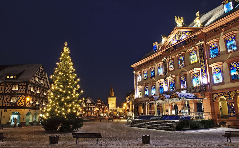 Holiday Inn Express Offenburg 5/49