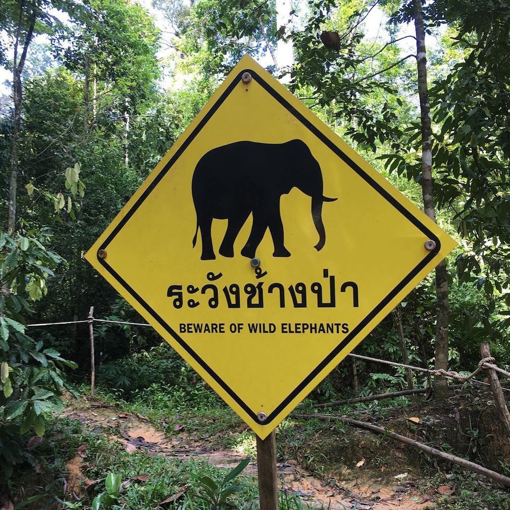 Panvaree Resort 19/51