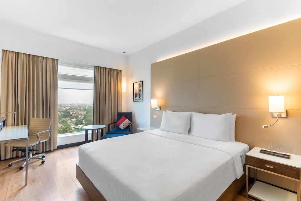 Park Plaza Delhi CBD Shahdara 18/72