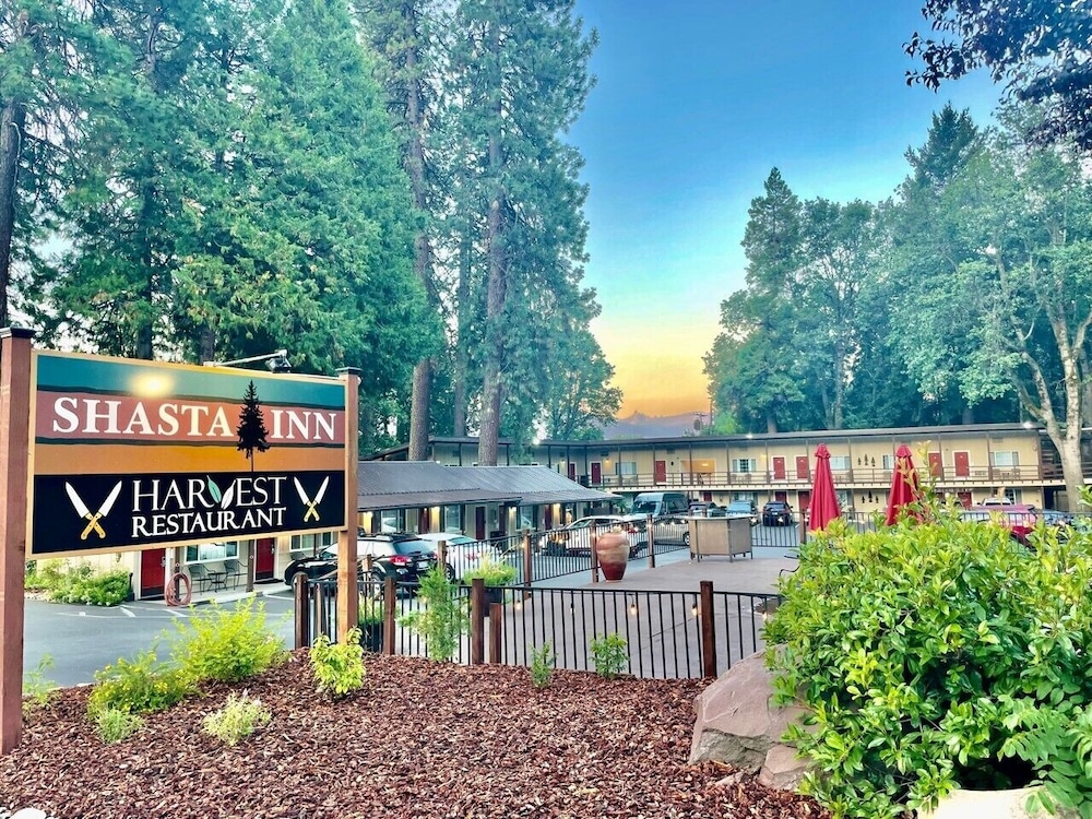Shasta Inn 2/46