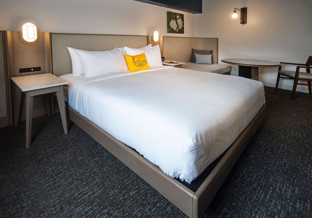 Doubletree By Hilton St Johns Harbourview 12/44