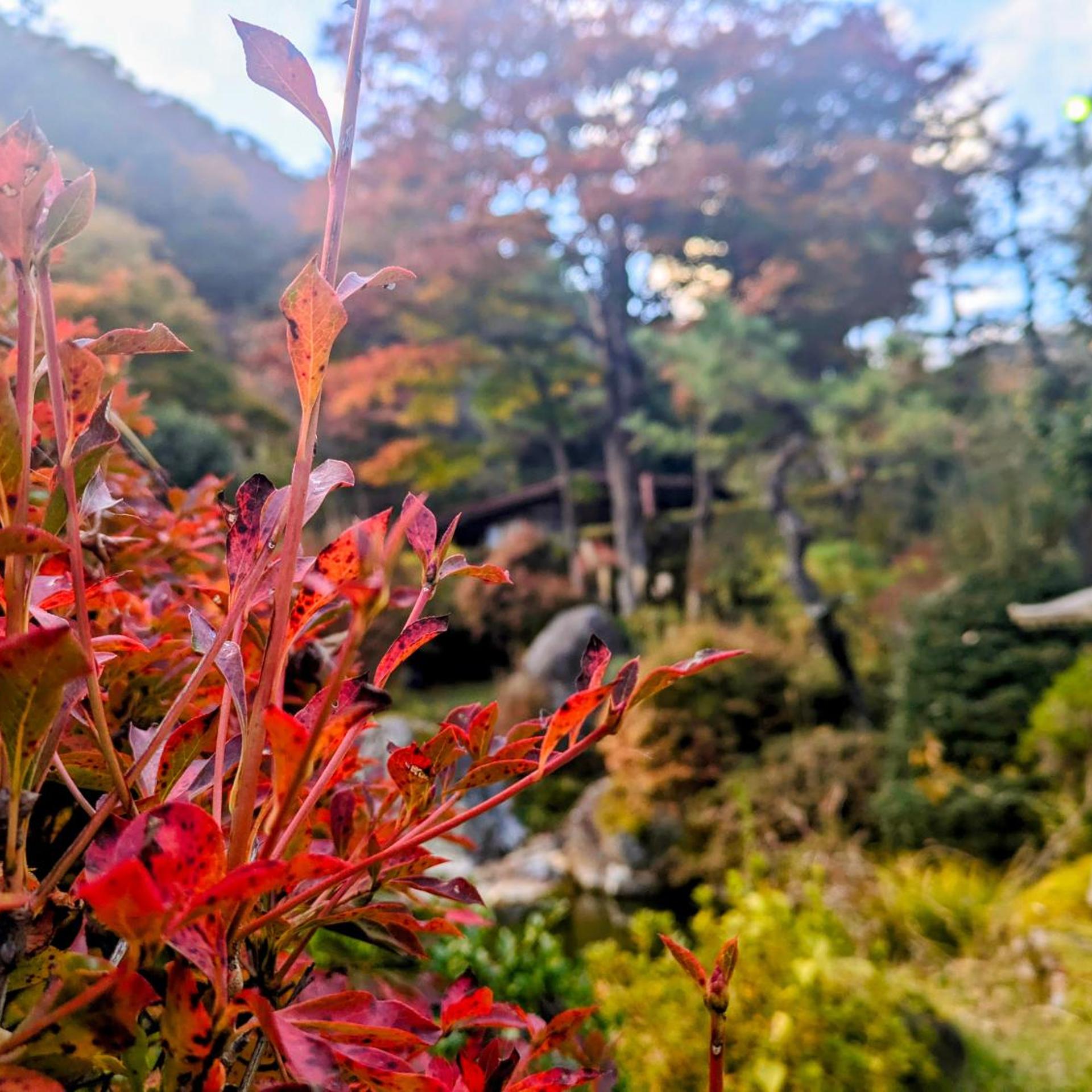 Itoen Hotel Shima 58/62