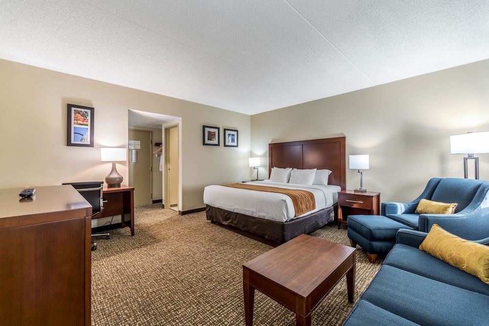 Comfort Inn Festus-St. Louis South 10/39