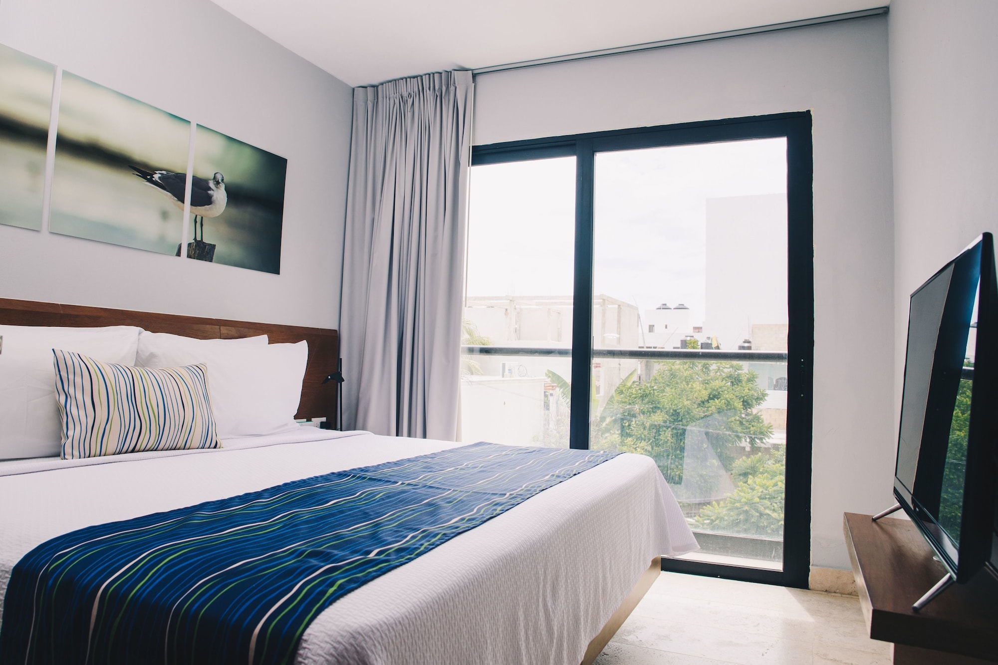 JUNIOR SUITE, STUDIO