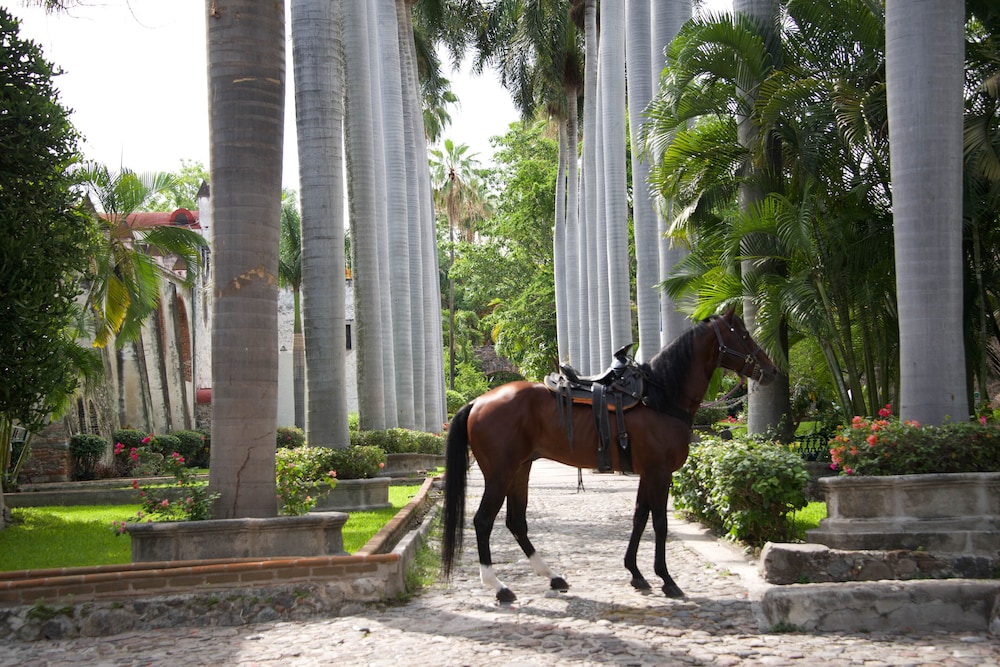 Hacienda Vista Hermosa 57/62