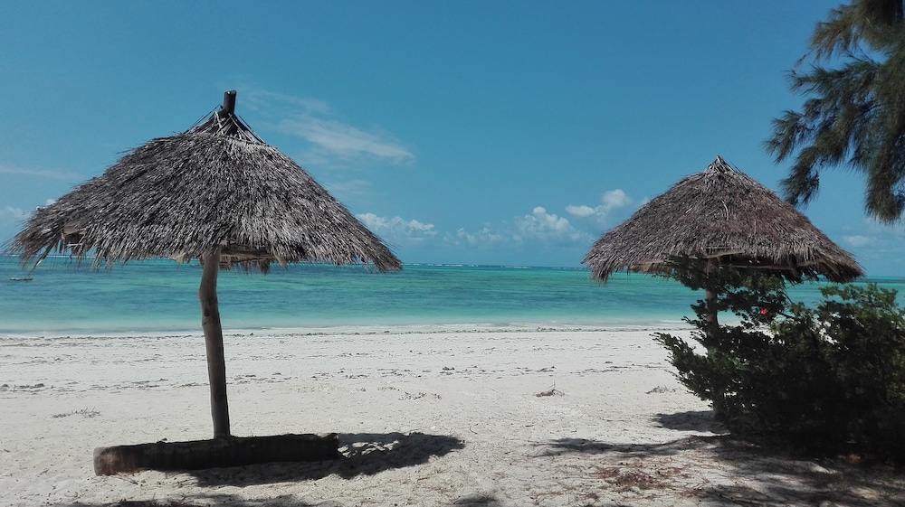 Zanzibar Dream Lodge 44/50
