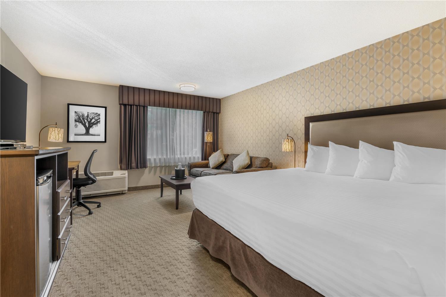 Executive, King Bed, Sofa
