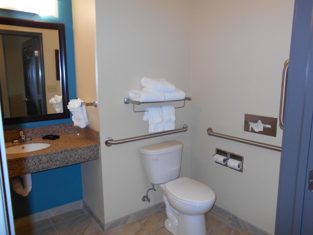 Best Western Plus Patterson Park Inn 19/43