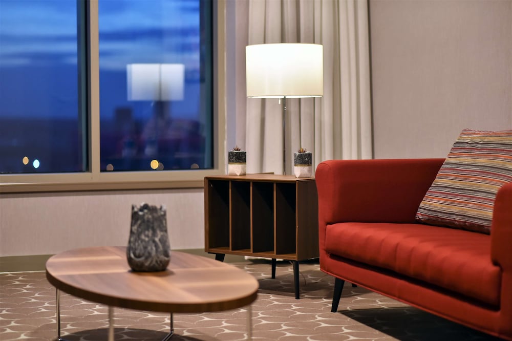 希尔顿逸林酒店Ankara Turkey(Doubletree By Hilton Ankara Turkey) 图片2