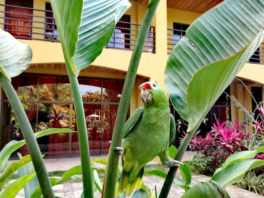 Hotel Loft Pacifico 42/50
