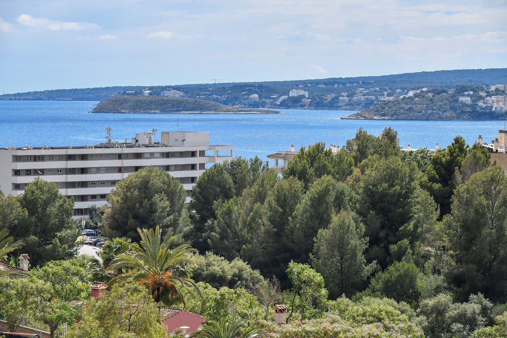 Salles Marina Portals 66/71