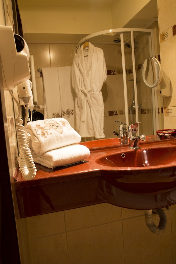 Prahova Plaza Hotel 17/35