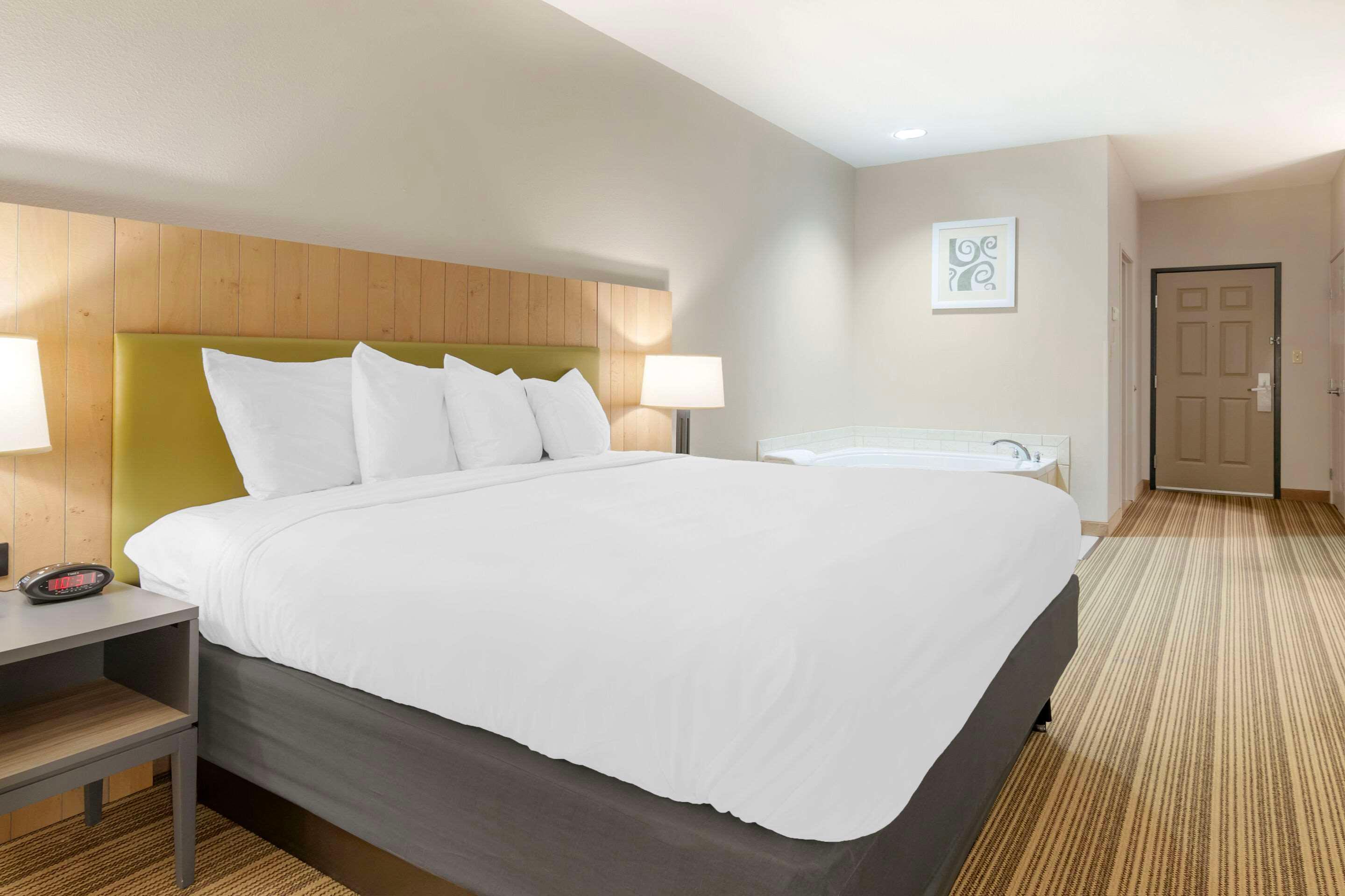 Suite, King Bed