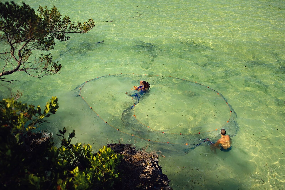 The Island Pongwe Lodge 48/59