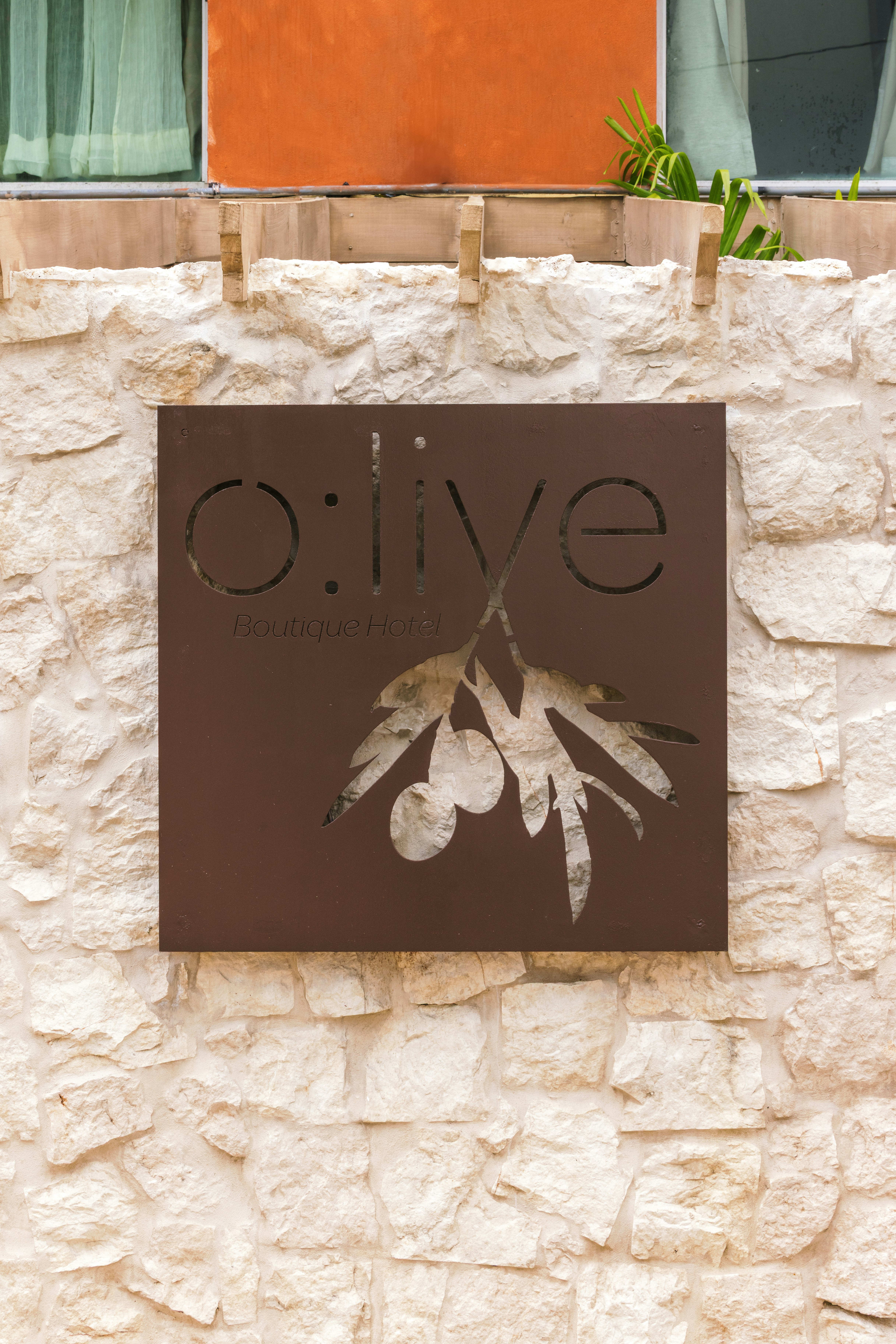 Olive Boutique Hotel 7/46